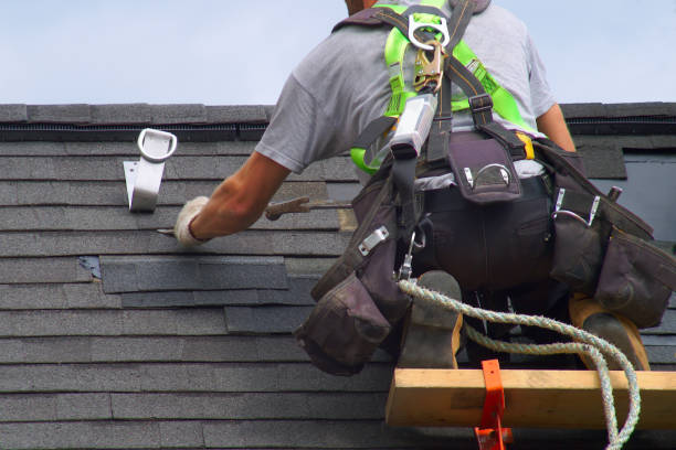 Best Storm Damage Roof Repair  in Newport, WA
